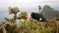 Lord Howe Island_20061211_037